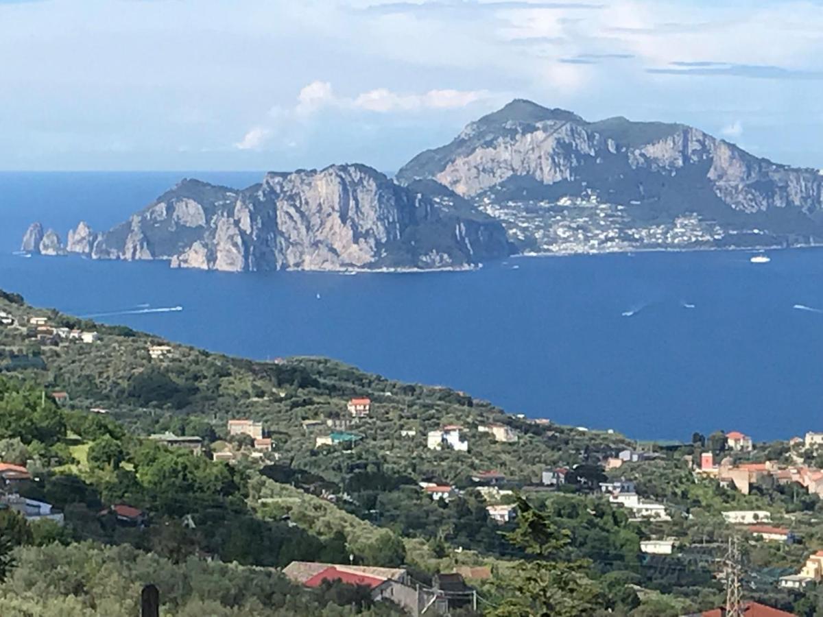 Resort Ferrara Villa Multa Quies Massa Lubrense Exteriör bild